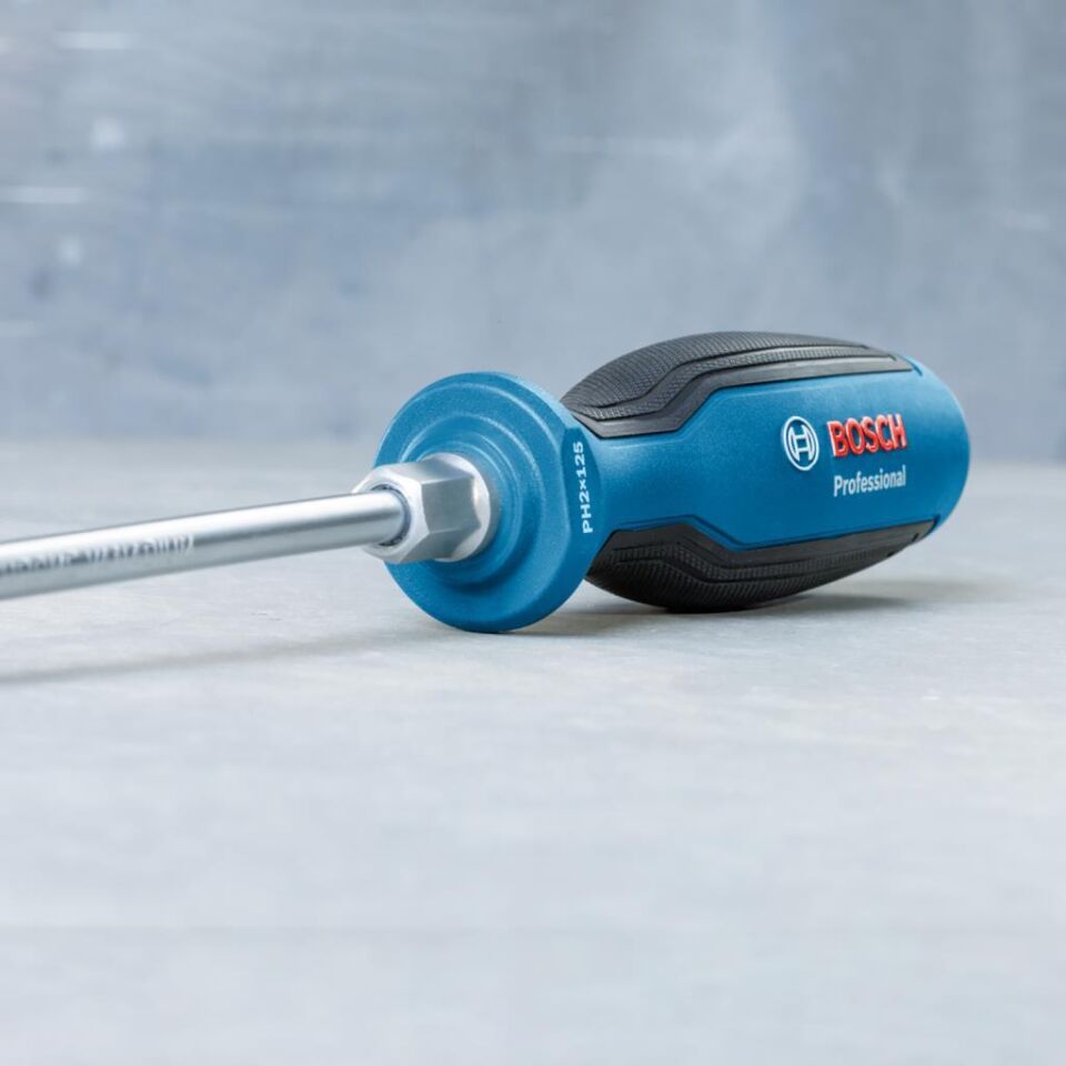 Bosch Profesyonel Tornavida SL5.5x100 mm 1600A01TG0