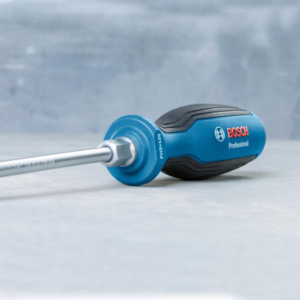 Bosch Profesyonel Tornavida SL6.5x125 mm 1600A01TG1