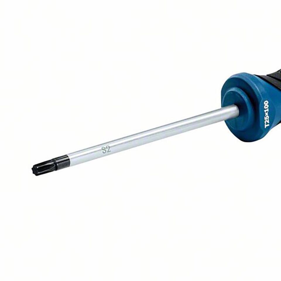 Bosch Profesyonel Torx Tornavida TX25x100 mm 1600A01V0D