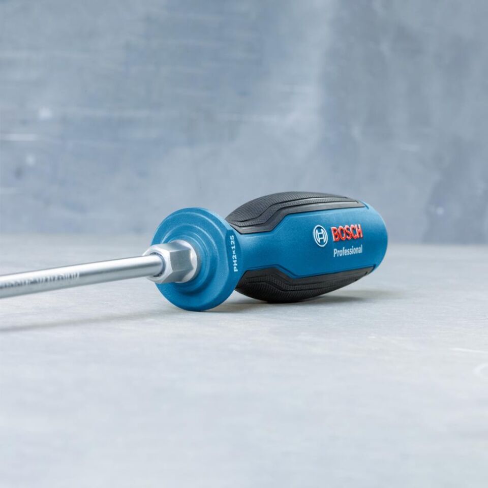 Bosch Profesyonel Tornavida SL4.5x100 mm 1600A01TF9