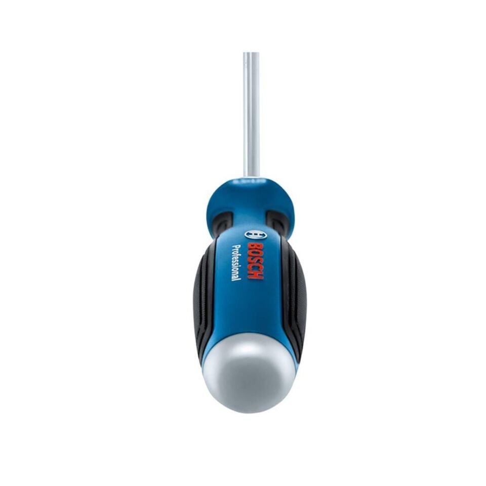 Bosch Profesyonel Tornavida SL4.5x100 mm 1600A01TF9